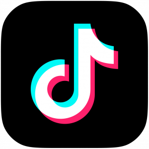 TikTok Follower, Likes und Views